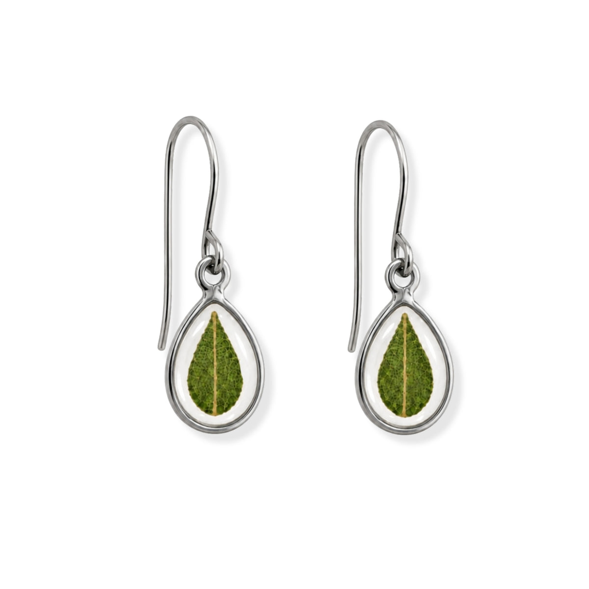 Eucalyptus Drop Earrings Polished Steel