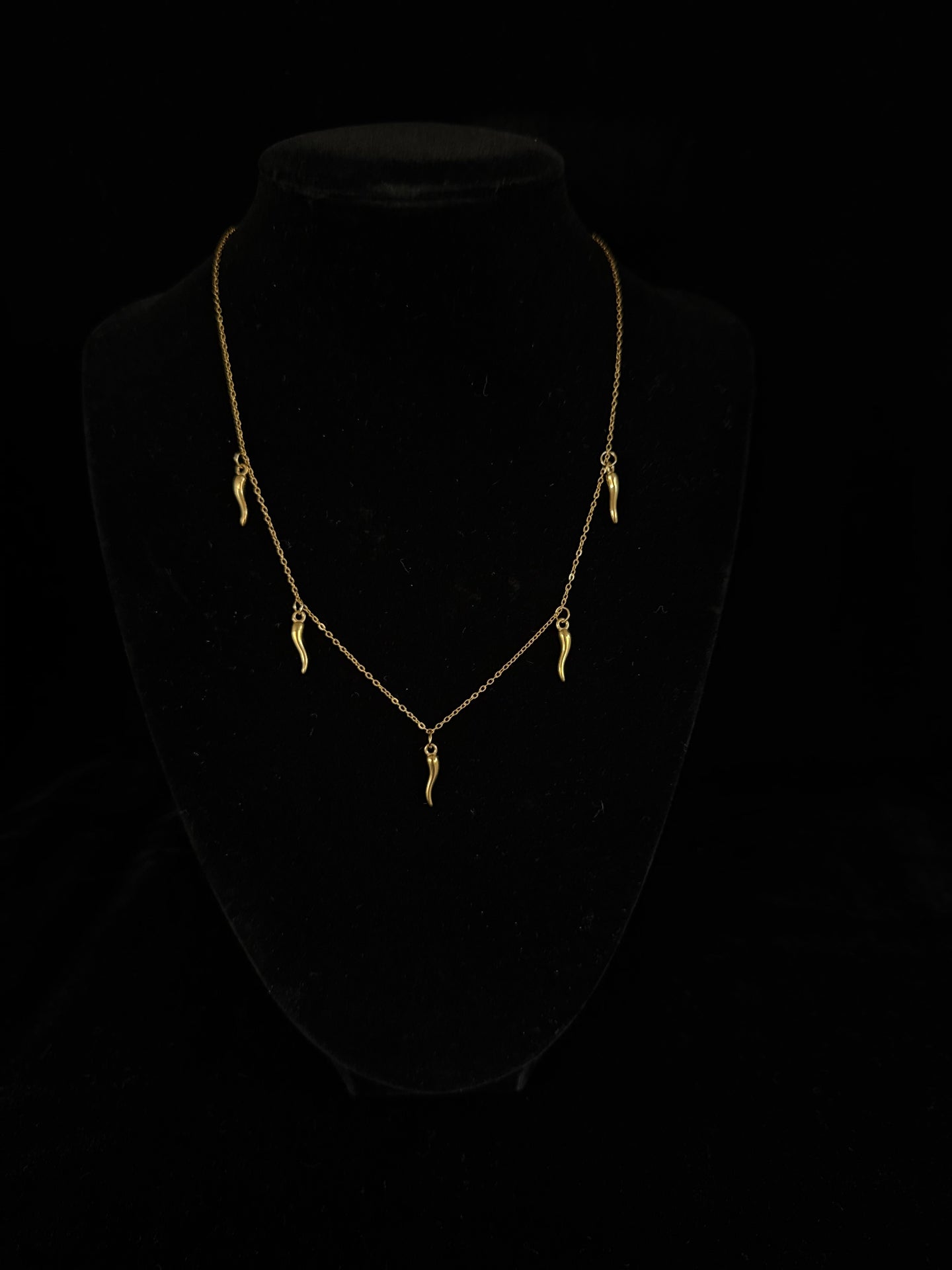 Quianey Chilli Horn Necklace
