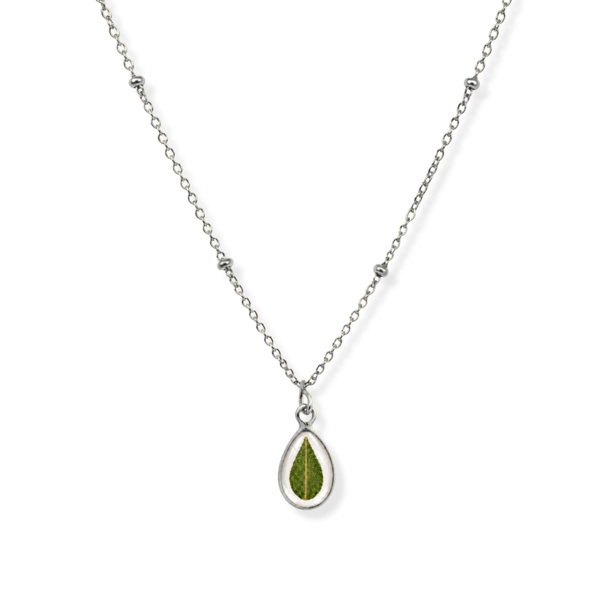 Eucalypse Necklace Polished Steel